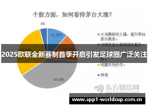 2025欧联全新赛制首季开启引发足球圈广泛关注